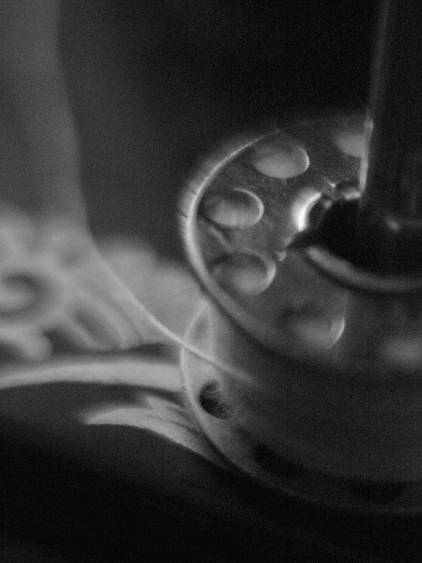 Bobbin & thread